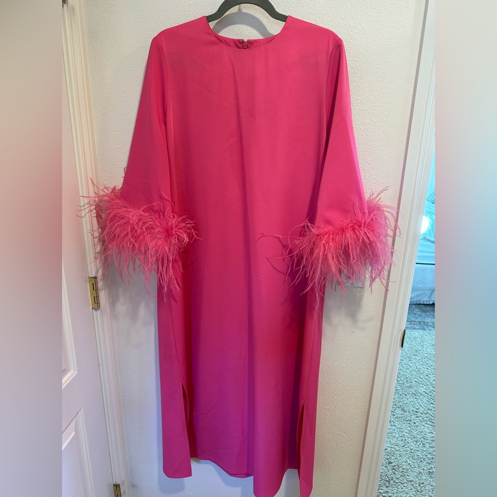 Tuckernuck Pink Dress with Feather Accents
